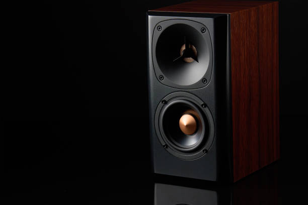 istock Multimedia acoustic sound speaker on dark background 1531118073