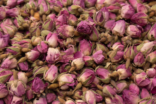 istock Dry tea roses isolated on white background. 1531151448