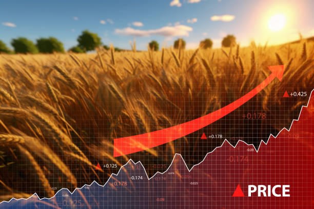 istock Crisis and increase in wheat cost with diagram going up 1531155594