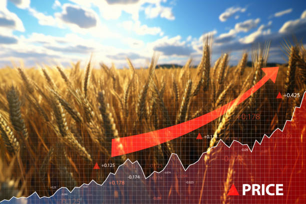 istock Crisis and increase in wheat cost with diagram going up 1531172271
