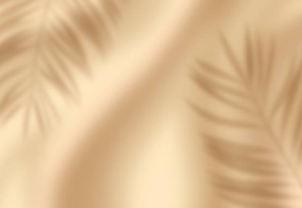 ombak pasir pantai halus latar belakang daun palem beige - bayangan efek cahaya ilustrasi stok