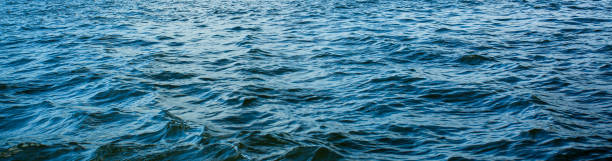 istock sea surface,An abstract background of seawater flow under light exposure 1531201790