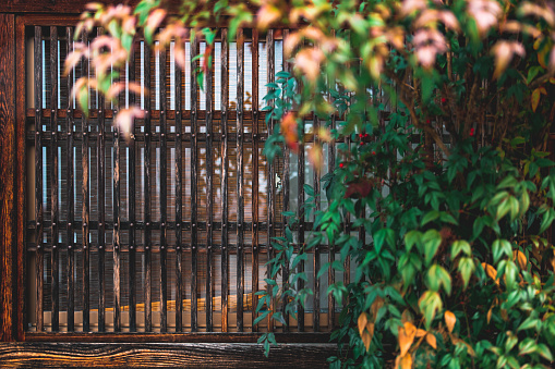 The old gray wooden fence dividing the green grass field on a sunny day