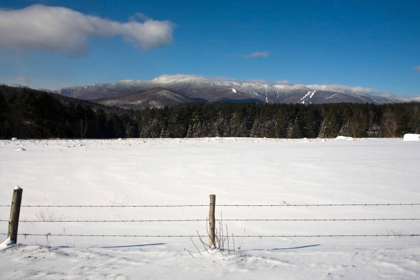 istock Sugarbush in the distance 153121949