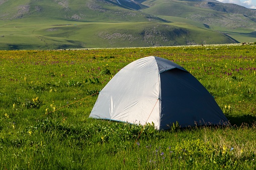 A tent is set up in a grassy meadow, providing a shelter from the elements for outdoor adventurers