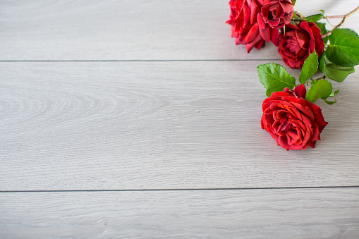 Floral background of pink, red and other roses on a light wooden table