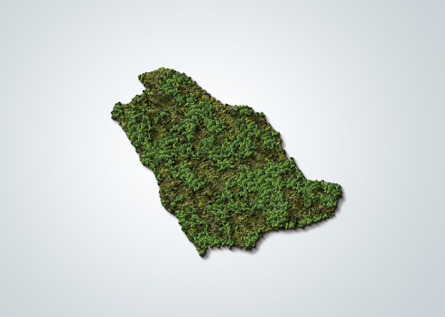 3d green map of Saudi Arabia on white isolated background
