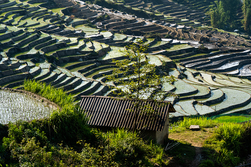 The pouring water season makes the terraced fields of Y Ty commune, Lao Cai province appear with brown soil blending with the beautiful sky. Travel and landscape concept in North West Vietnam