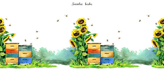 Watercolor summer scene with bee hives. Sunflower seamless border. Honey bee, organic healthy food, beekeeping, honey farm, apiary background. Blooming meadow, sunflowers scenery