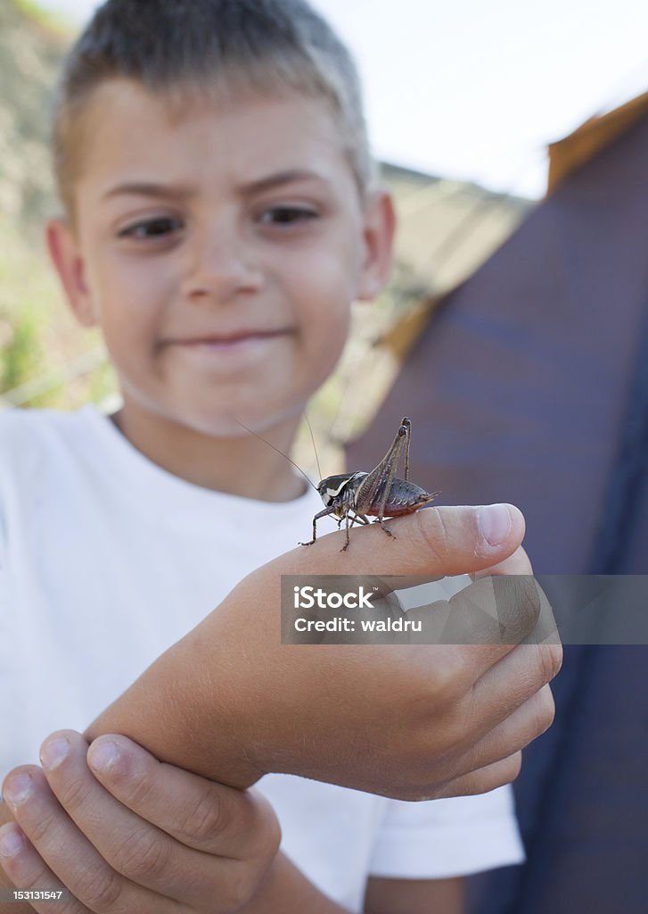 Saltamontes s'encuentra en boy del brazo - Foto de stock de Agarrar libre de derechos