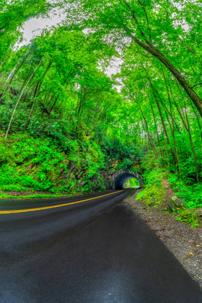 istock Smoky Mountain Tunnel On Rainy Day 1531317250