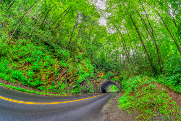 istock Road Through Smoky Mountains Tunnel In Rain 1531319786