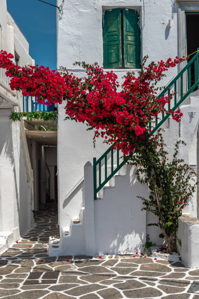 istock Architecture Exposure of Mykonos Greece 1531337037