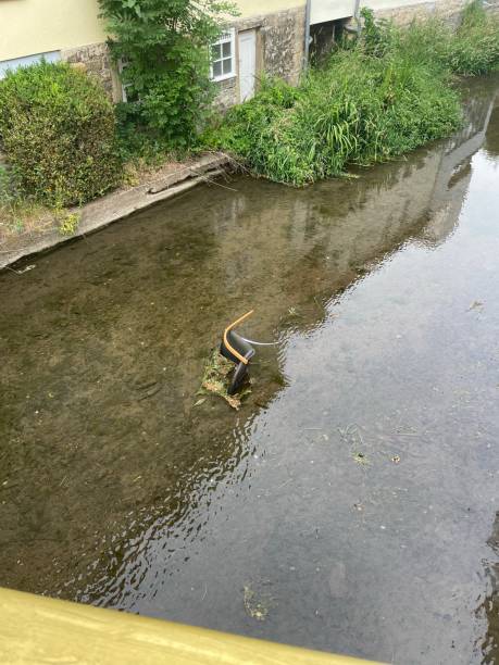 istock A chair in the river 1531343046