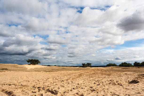 istock Landscape at Kootwijkerzand 1531349560