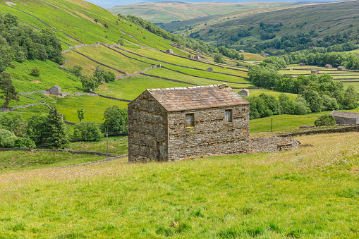 The beautiful dale of Swaledale in Summer time, Yorkshire Dales, UK with sweeping fells, green meadows, drystone walling and stone barns or cow houses. Horizontal, Space for copy.
