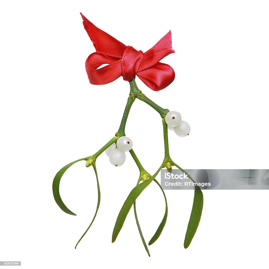 Mistletoe with red ribbon isolated on white. Photo of Mistletoe with berries and a red ribbon isolated on a white background. Mistletoe Stock Photo