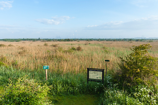 Sign of Zuid-Hollands Landschap at Groene Strand with reedbeds in background