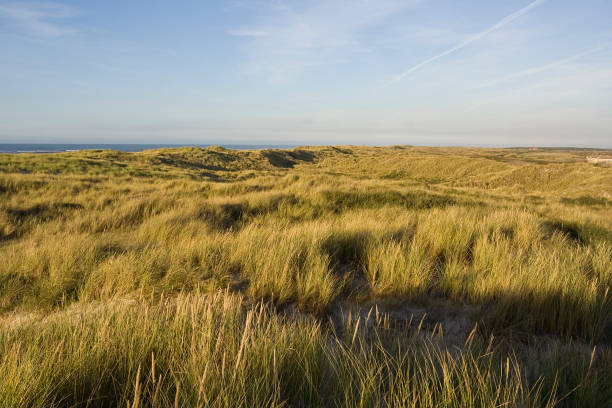 istock Duinen op Vlieland, Dunes at Vlieland 1531374600