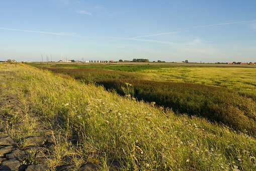 Overview of tidal creeks at Den Oever with houses in background