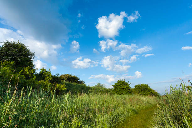 istock Landscape at Groene Strand 1531376983