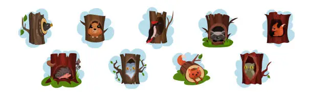 Vector illustration of Funny Animals Sitting in Tree Hollow Vector Set