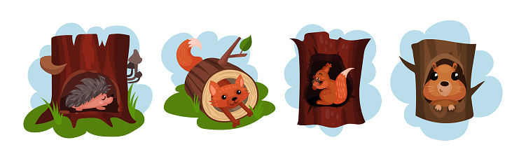 Funny Animals Sitting in Tree Hollow Vector Set. Forest Mammals Resting in Tree Cavity