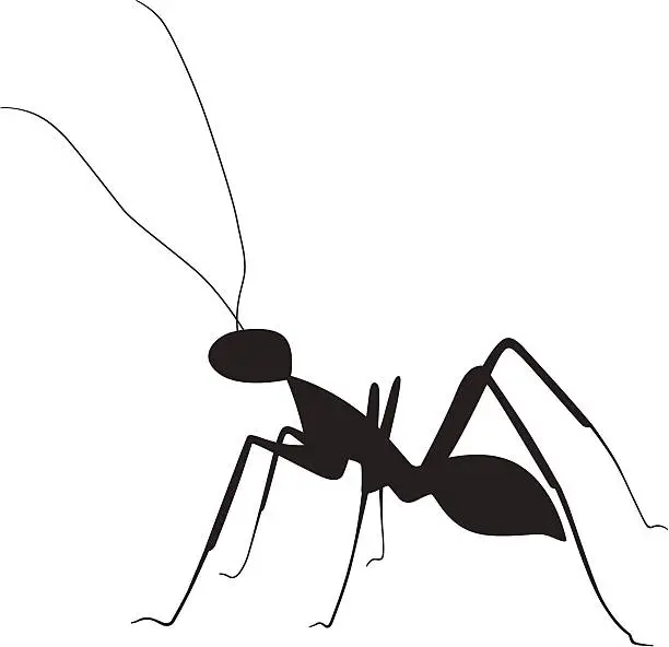 Vector illustration of ant silhouette