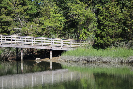 Looking across the river to the beautiful wooden bridge at Sunken Meadow State Park.
