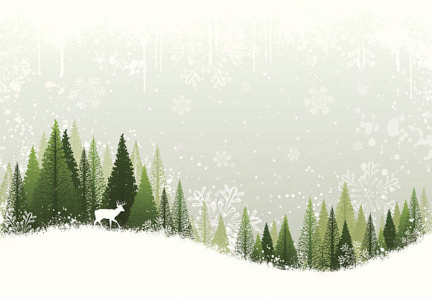 Snowy winter forest background Green and white winter forest grunge background design. winter backgrounds stock illustrations