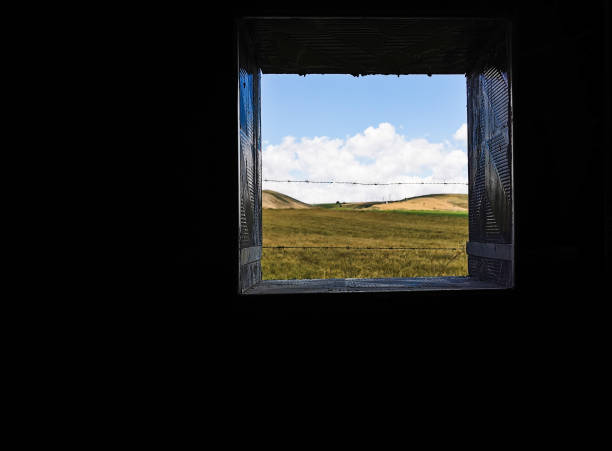 window view garden background. finland classic landscape