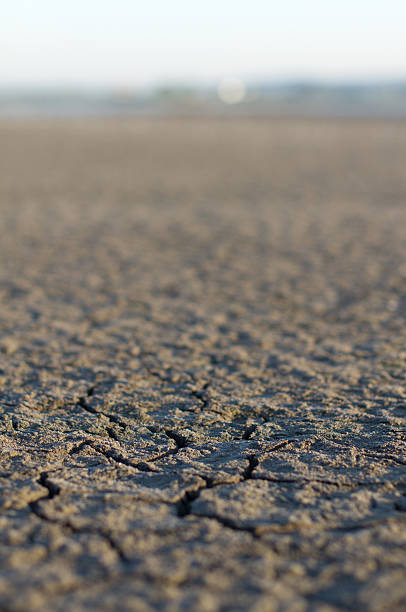 dry sand stock photo