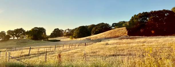 istock Road trip in Sonoma 1531436977