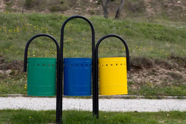 Multicolored trash can with garbage bins on grass in park. A closeup. Clean environment, recycling, ecology, environmental conservation concept.