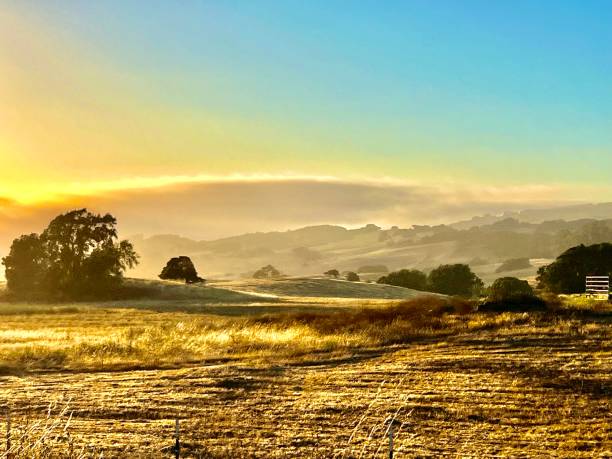 istock Road trip in Sonoma 1531437550