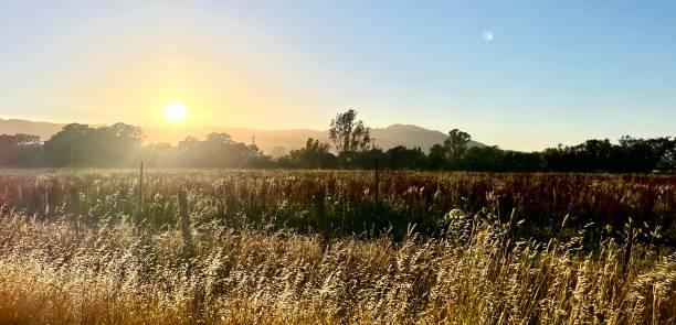 istock Road trip in Sonoma 1531437605