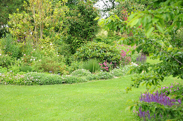 istock Brittany, the Jardin Lepage in Pleumeur Bodou 153143912