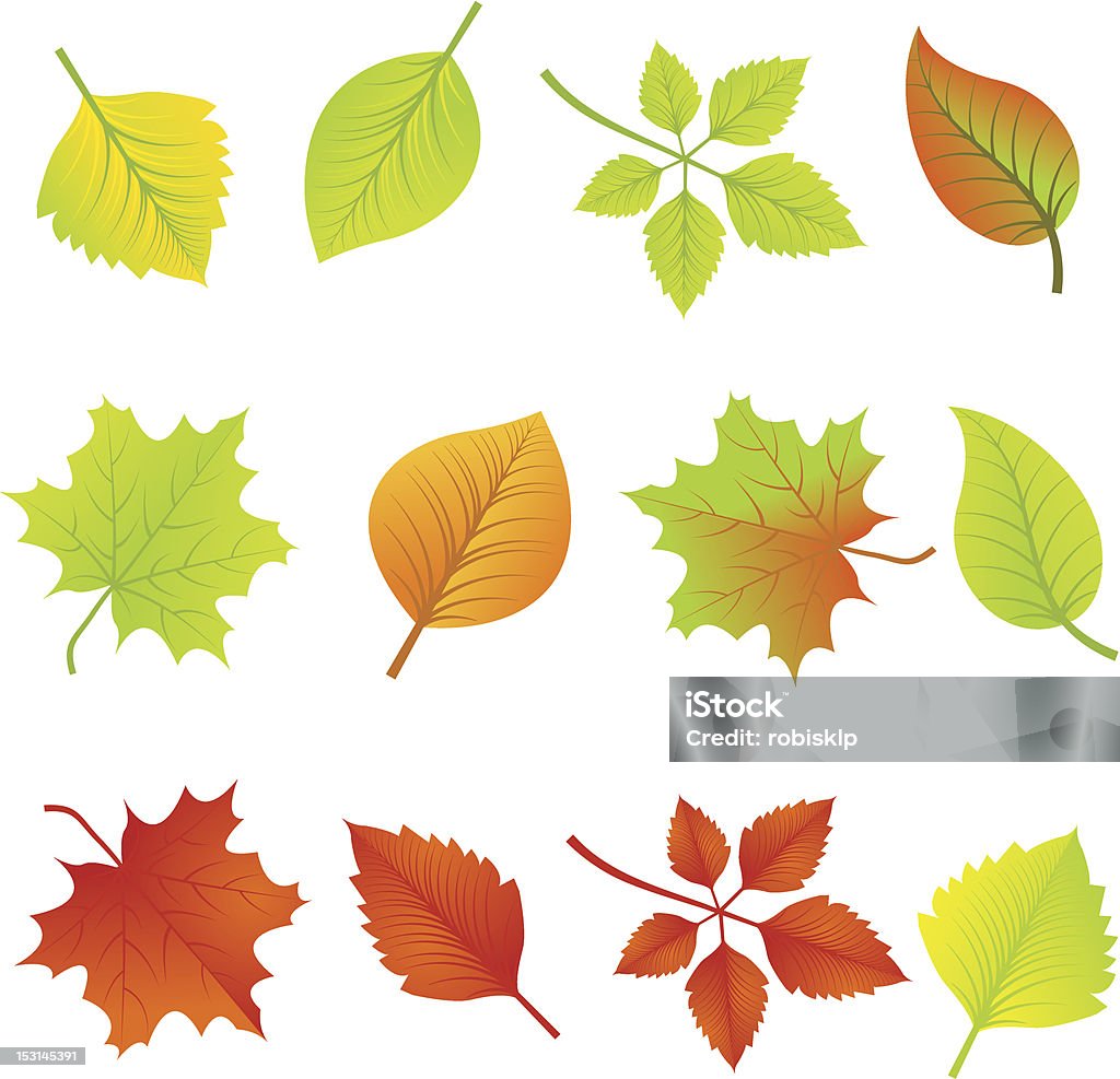 Folhas de outono - Vetor de Elemento de desenho royalty-free