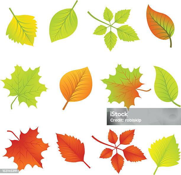 Autumn Leaves Stock Illustration - Download Image Now - Autumn, Design Element, Environment
