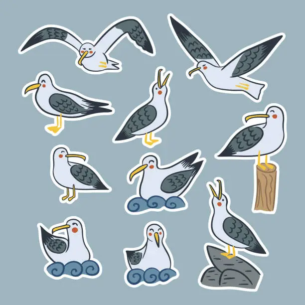 Vector illustration of Set of isolated seagull characters