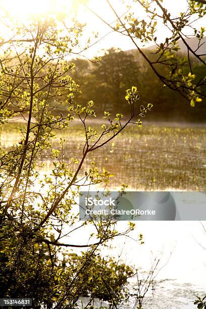 Loughrask で一日ご休憩 - アイルランド共和国のストックフォトや画像を多数ご用意 - アイルランド共和国, クレア州, バレン高原