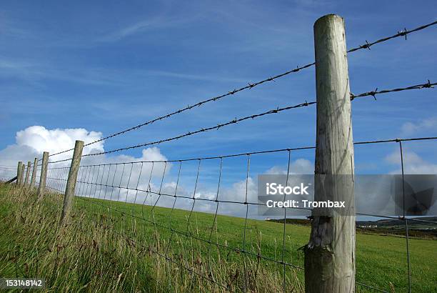 Fence In Countryside Stock Photo - Download Image Now - Accessibility, Agricultural Field, Barbed Wire