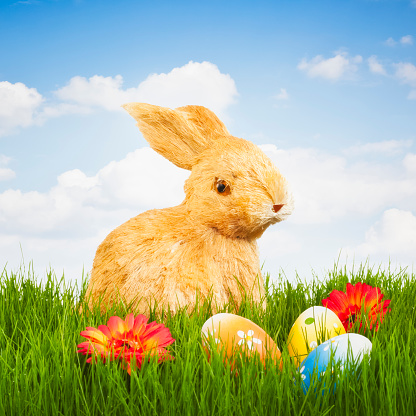 Easter Bunny with Easter Eggs on a meadow