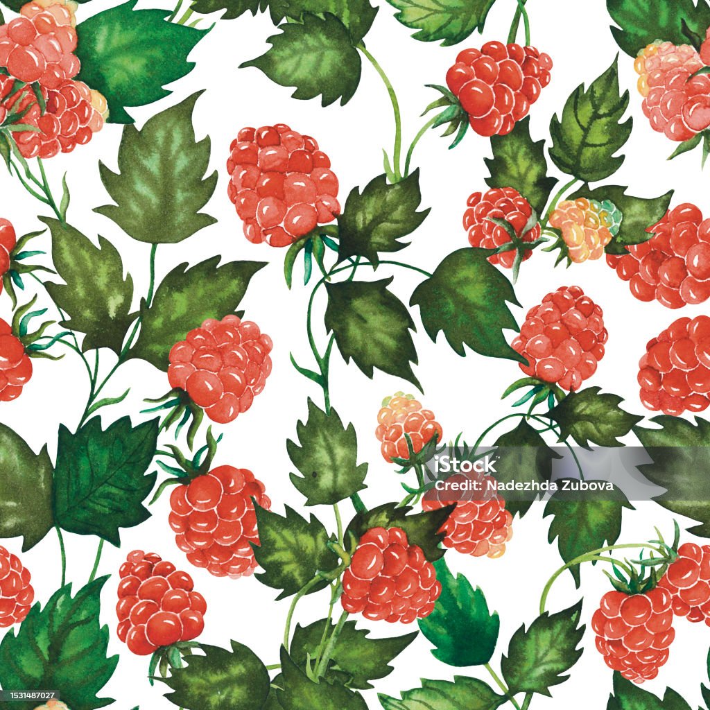 Watercolour Raspberry Seamless Watercolour Raspberry Pattern With Berries Leaves Hand Drawn ...