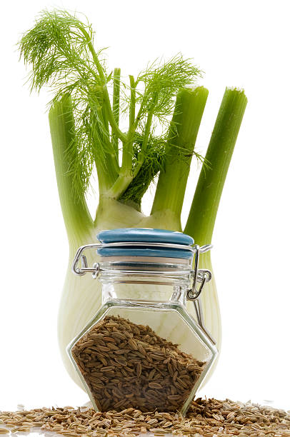 fennel and seeds stock photo