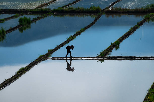 istock Photographer walking between the fields to capture the irrigated view of the paddy fields in Osmancık district of Çorum. 1531496802