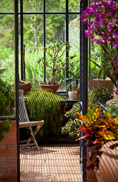 kuvapankkikuvat ja rojaltivapaat kuvat aiheesta rauhallinen ja kaunis kasvihuone isoilla lasi-ikkunoilla - conservatory sun room