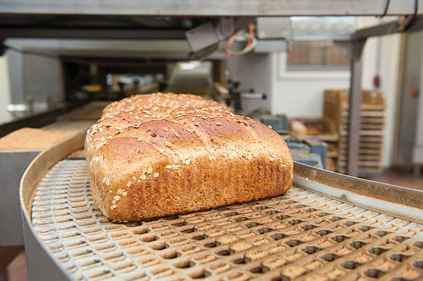 istock Honey oat bread on a conveyor belt in a baking factory 153150347
