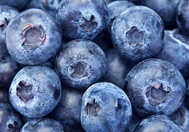 istock Blueberry berry closeup 153150795
