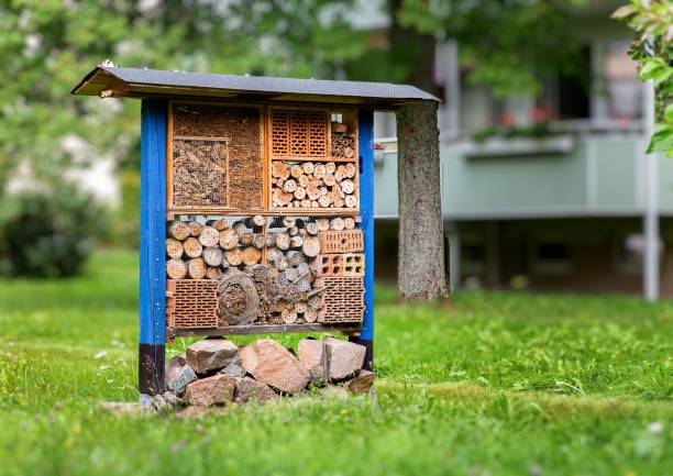 istock a bug hotel is located on the grass outside a building 1531516929